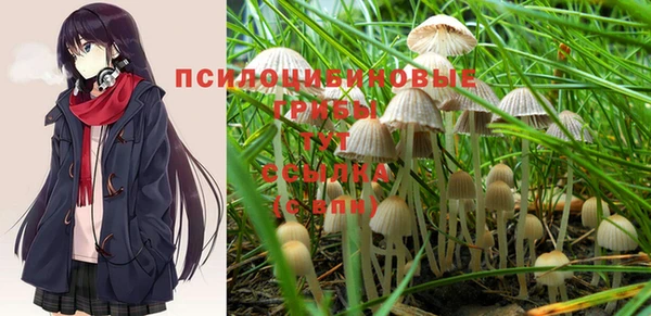 героин Алзамай