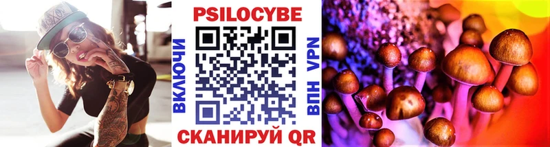 наркотики Фатеж Галлюциногенные грибы мицелий